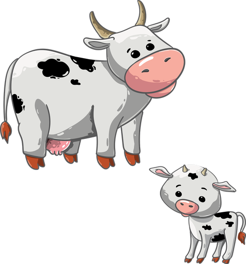 cow  calf  animal