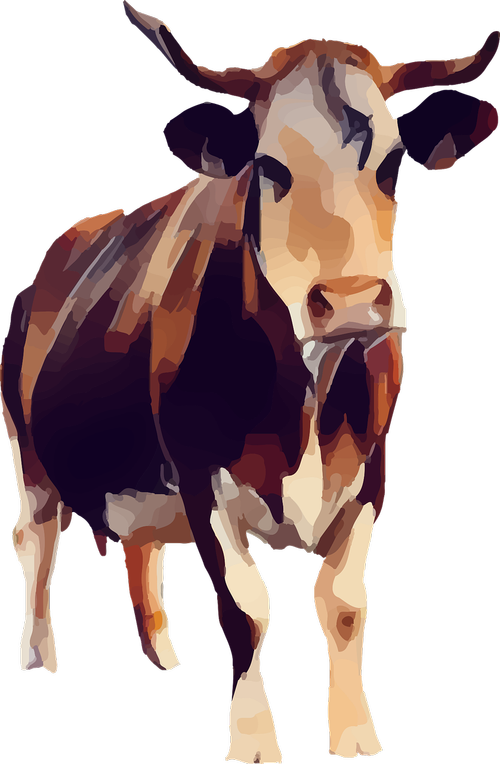 cow  animal  vegan