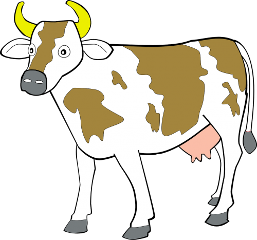 cow mammal animal