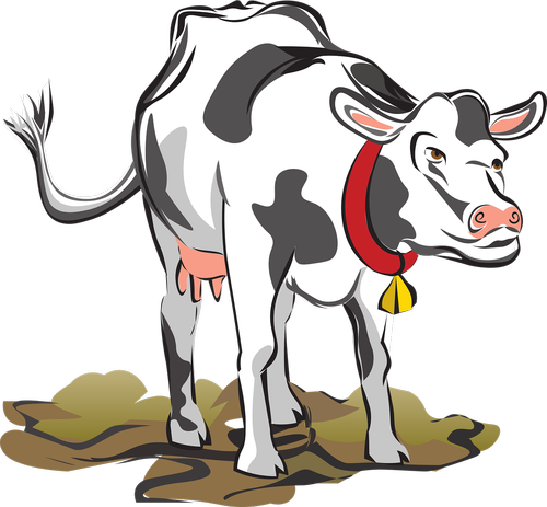 cow  dairy  farm