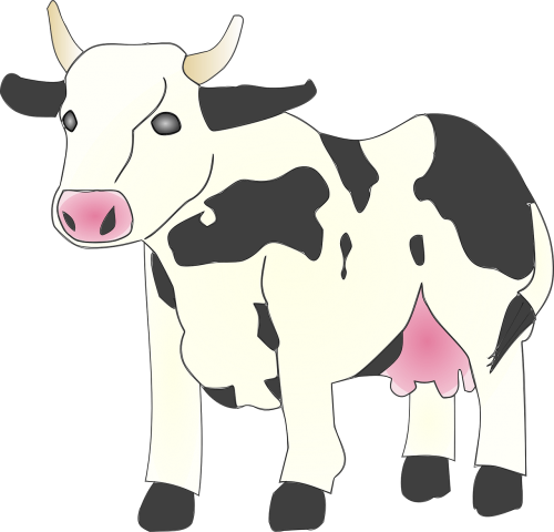 cow animal mammal
