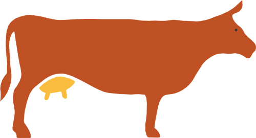 cow silhouette livestock