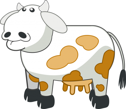 cow farm dairy