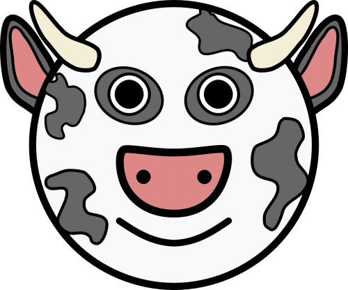 cow animal farm