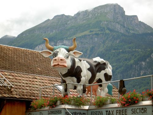 cow sculpture switzerland