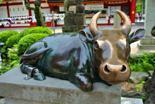 cow dazaifu shrine
