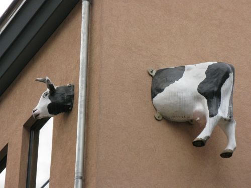 cow house facade home front