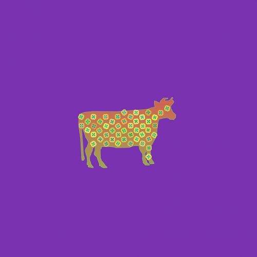 Cow Graphics