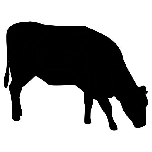 Cow Silhouette