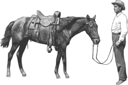 cowboy horse gray