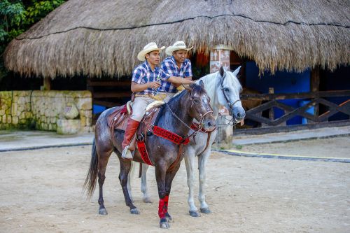 cowboy mexico rider