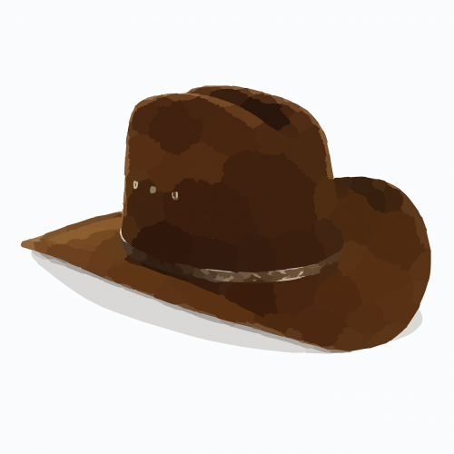 cowboy hat western