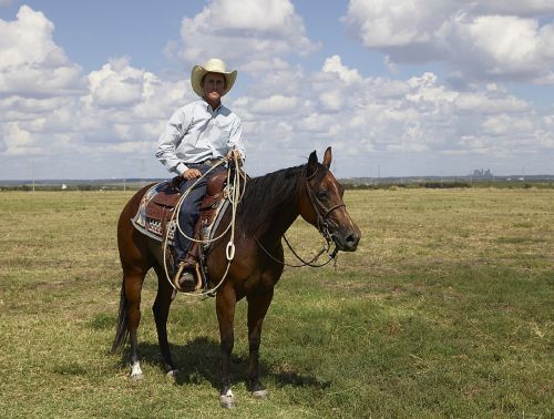 cowboy quarter horse trainer