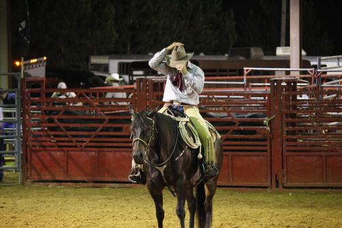 cowboy rodeo horse