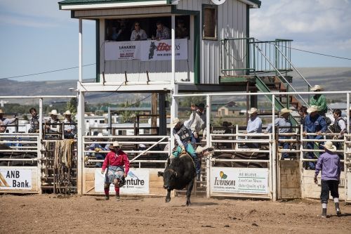 cowboys bull rider rodeo