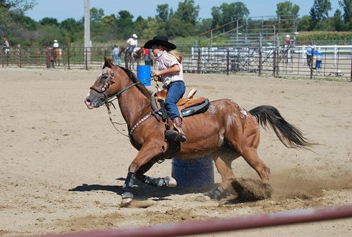 cowgirl  barrel racing  rodeo