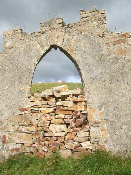 cows wall stone