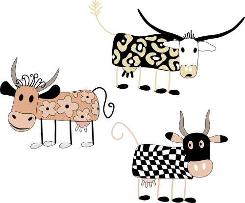 cows cute funny