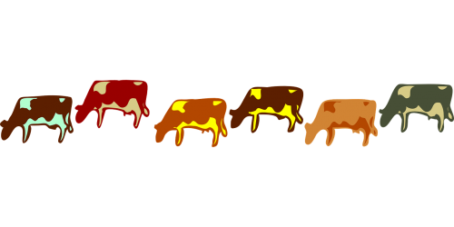 cows animal eating