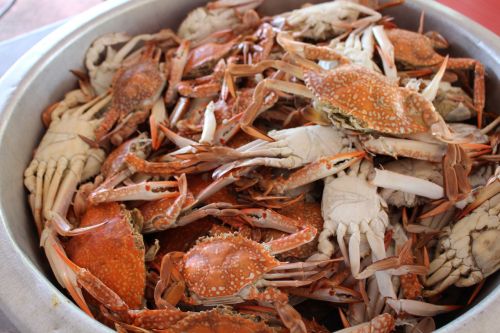 crab food dinner