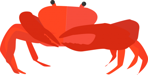 crab cancer animal