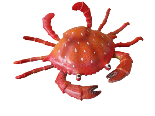crab cut out