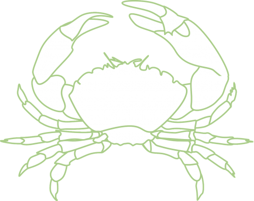 crab crustacean sea life