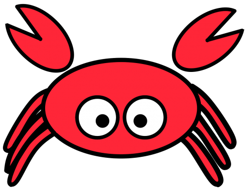 crab animal eyes
