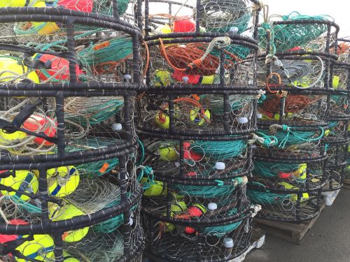 crab pots fishing port
