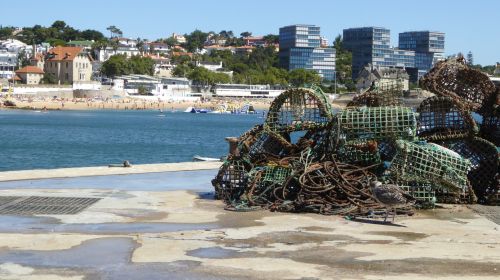 Crab Traps By The Shore