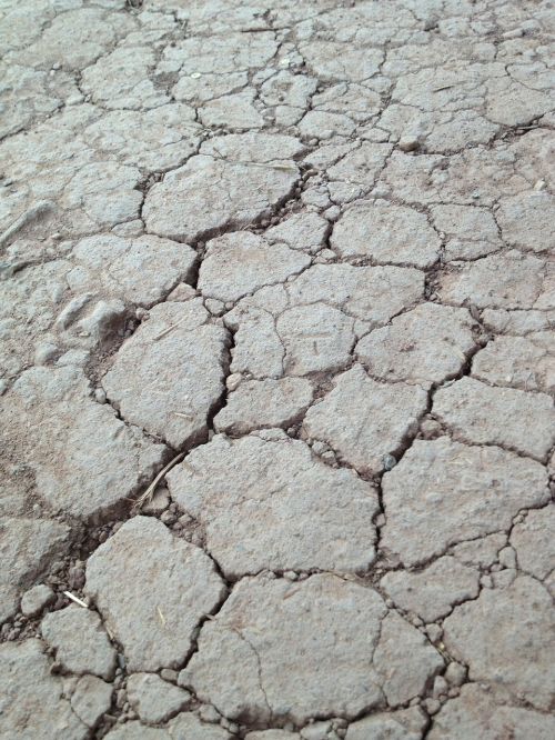 cracked mud dry