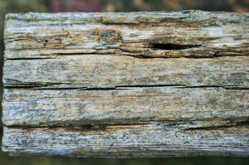 Cracked Plank