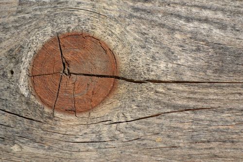 cracks wood image