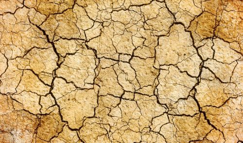 cracks drought earth