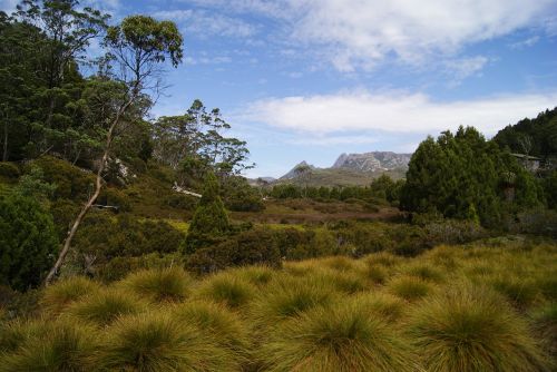 cradle mountain tasmania national park
