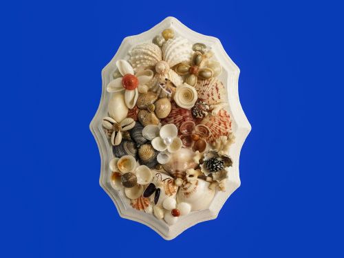 crafts sea shells art