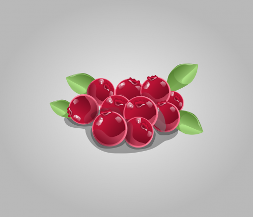 cranberries berries fruit