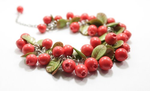 cranberries  berry  red