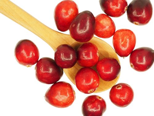 cranberry spoon fruit