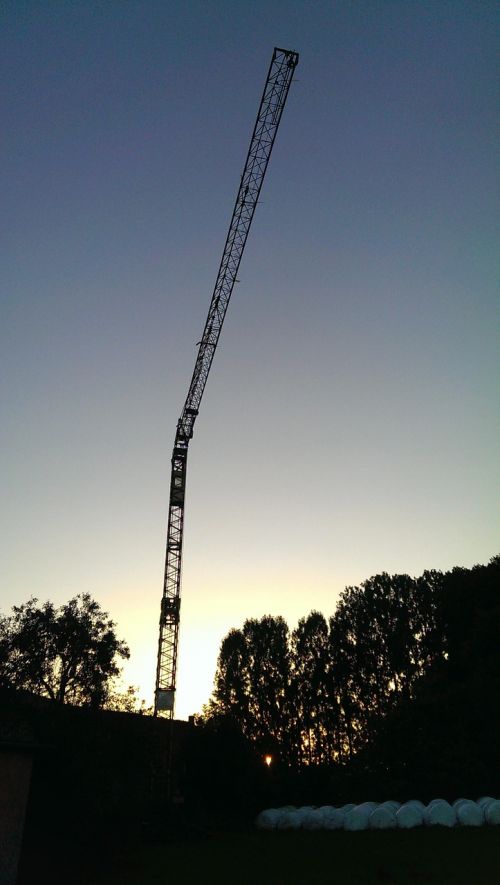 crane night twilight