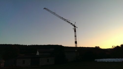 crane night twilight