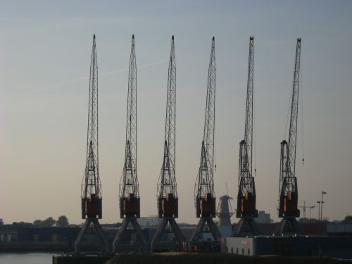 crane port rotterdam