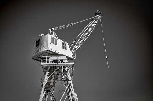 crane  tower  bird