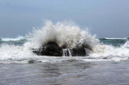 crashing wave ocean wave