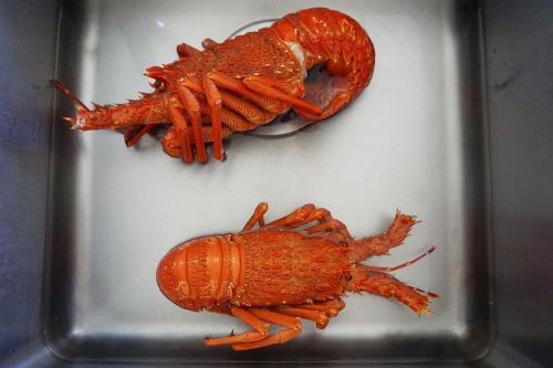 crayfish cooked sink