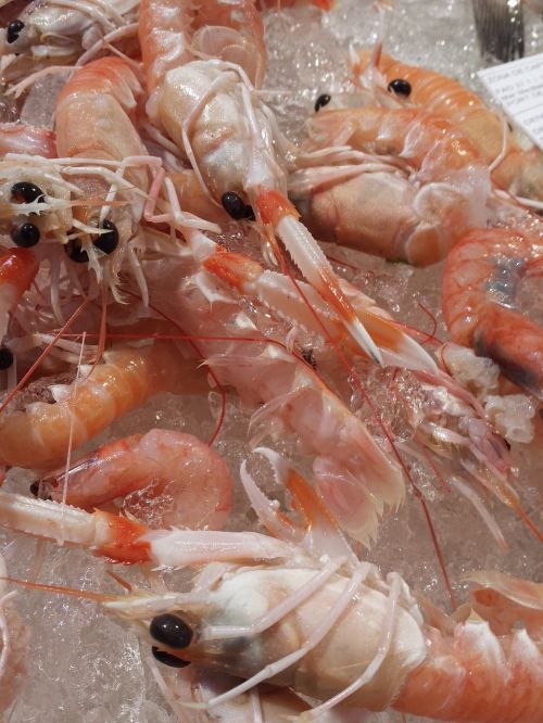 crayfish dénia seafood