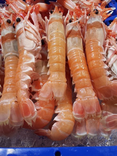 crayfish dénia municipal market