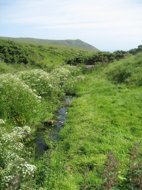 creek scotland landscape