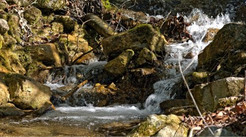 creek nature water