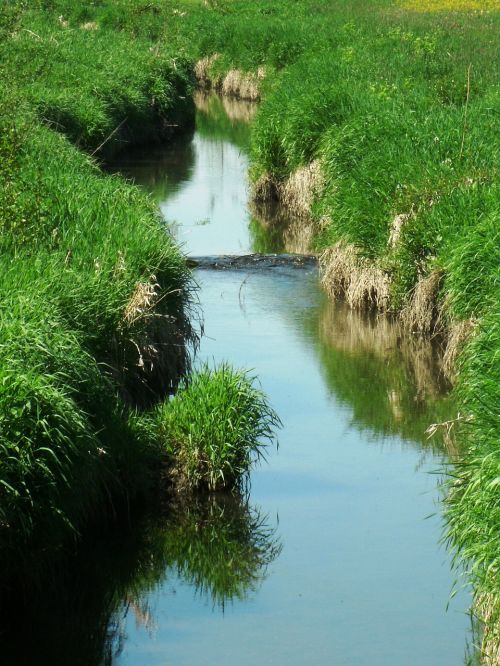 creek water schwarzach